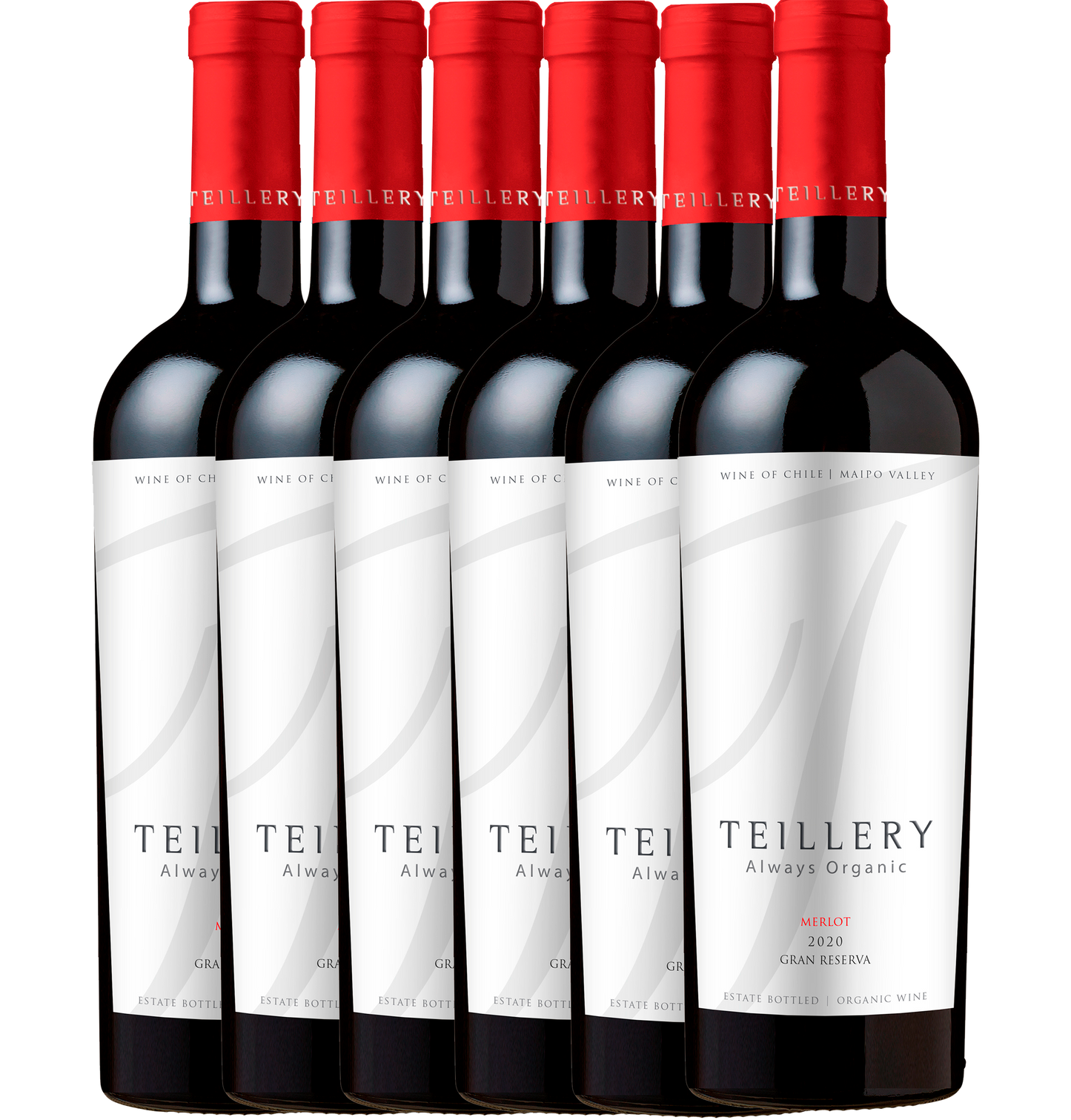 6PACK TEILLERY Merlot Gran Reserva Orgánico 2020