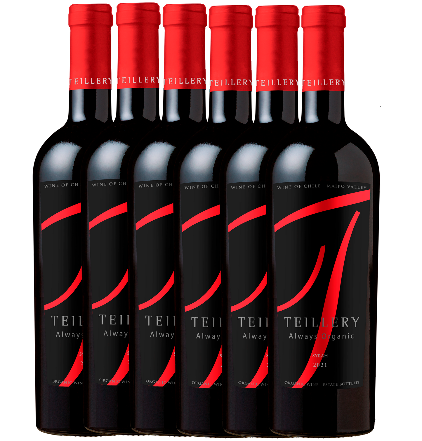 6PACK TEILLERY Syrah Reserva Orgánico 2021